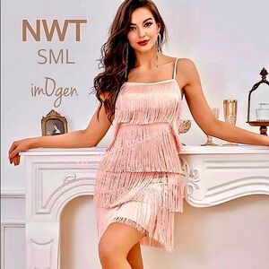 NWT SML pale pink silky tassel fringe deep V gatsby salsa various sizes imOgen